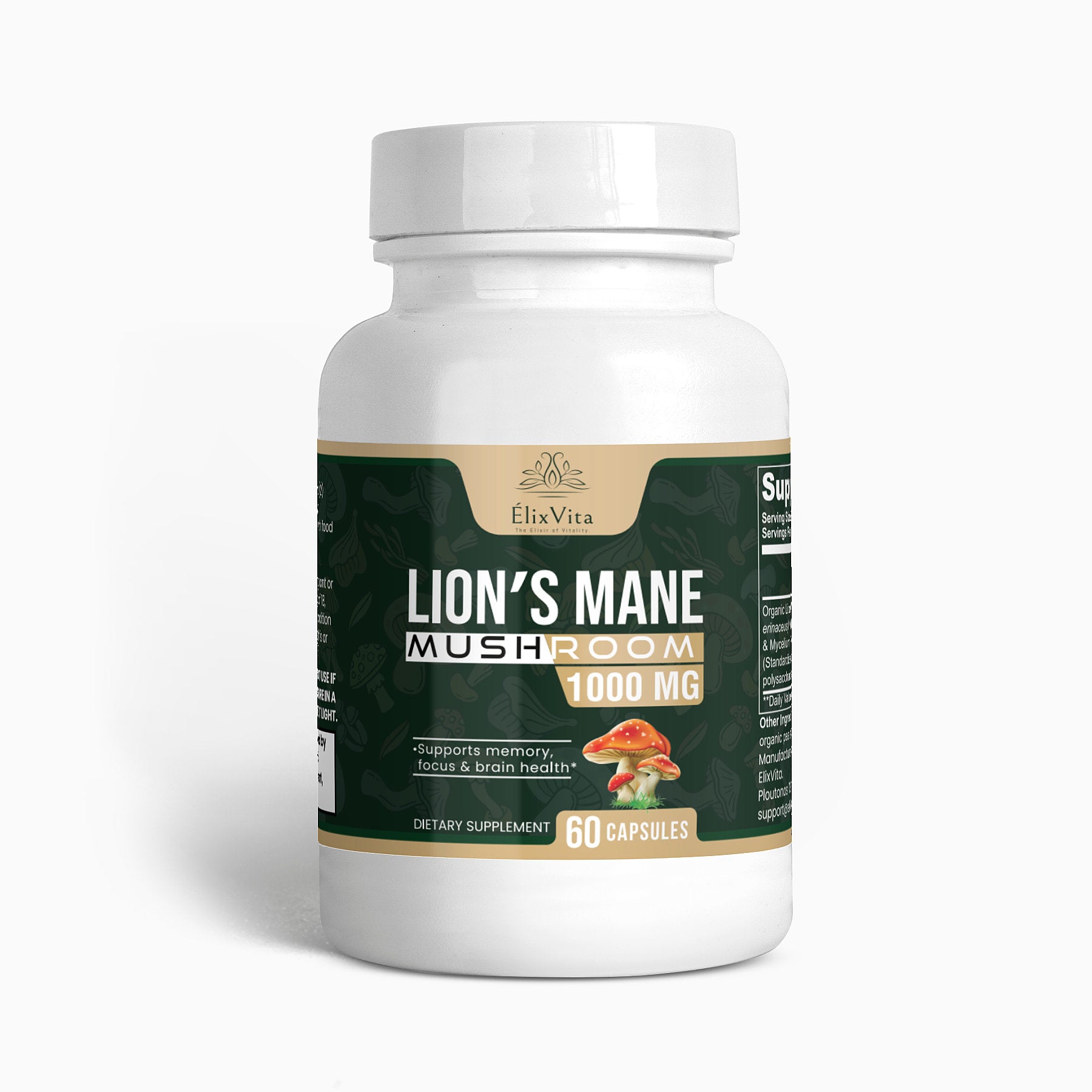 Lion's Mane Mushroom